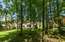 Лесной простор: дом 700 кв. м на участке 18 соток в охраняемом поселке