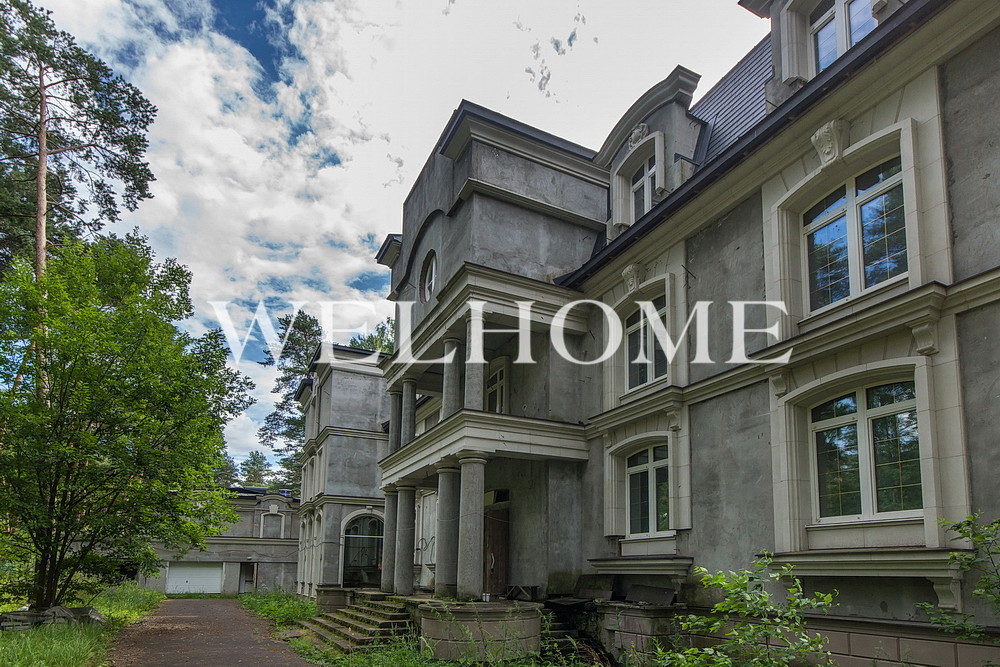 Россия, городской округ Домодедово, деревня Одинцово, территория Бор